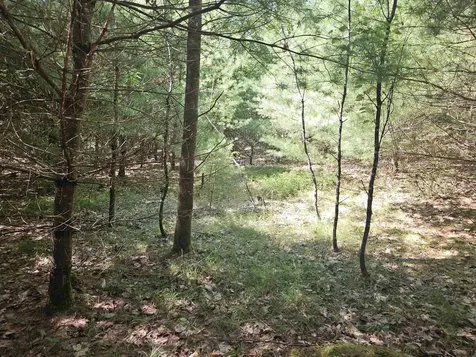 Lot 3.2 Off Parker Road Lisbon NH 03585