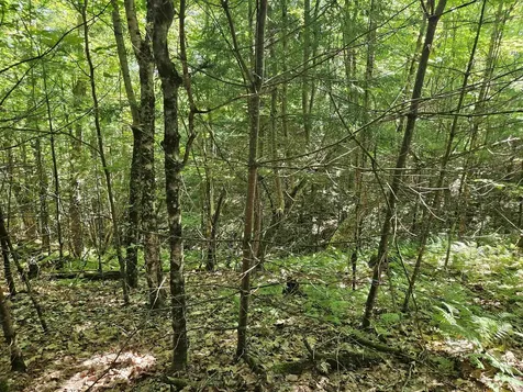 Lot 3.2 Off Parker Road Lisbon NH 03585
