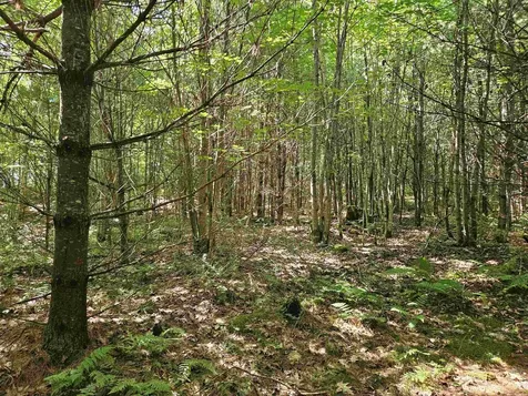 Lot 3.2 Off Parker Road Lisbon NH 03585