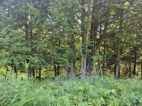 Lot 3.2 Off Parker Road Lisbon NH 03585
