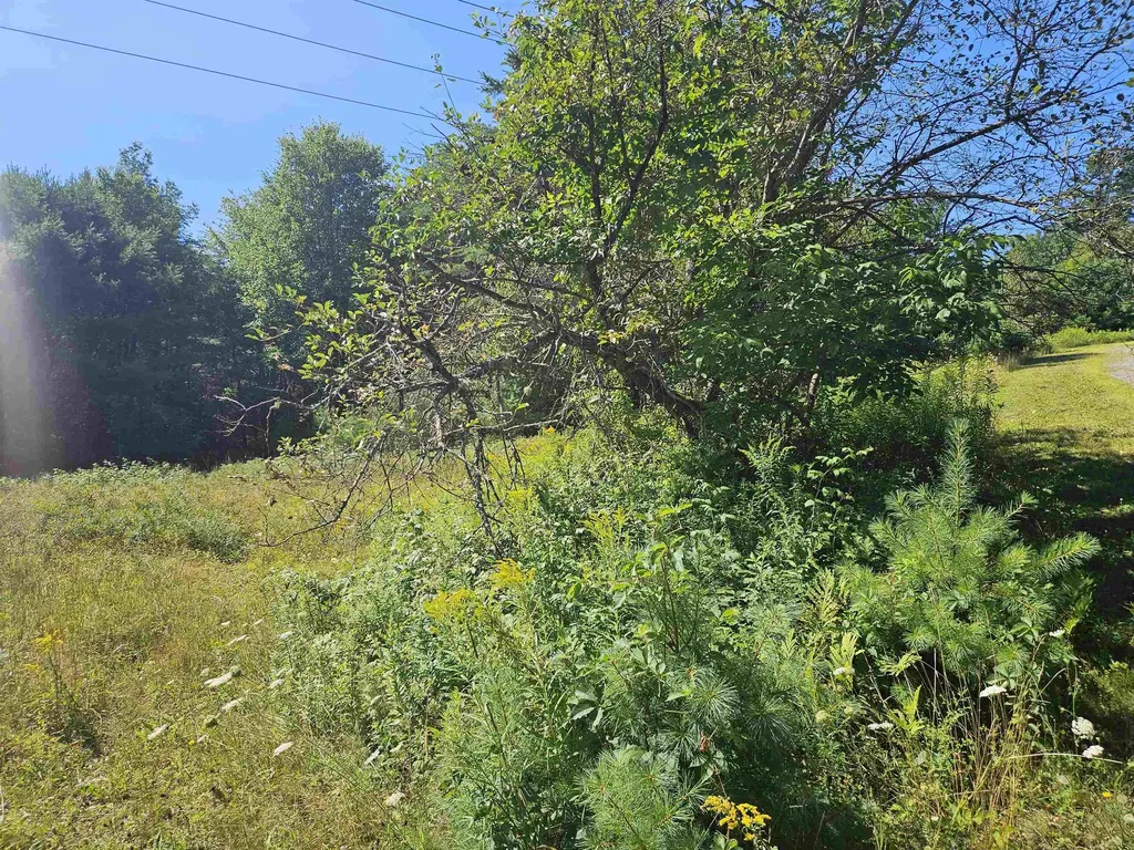Lot 3.1 Off Parker Road Lisbon NH 03585