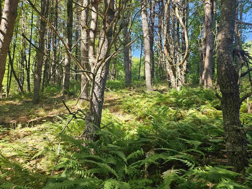 Lot 3.1 Off Parker Road Lisbon NH 03585
