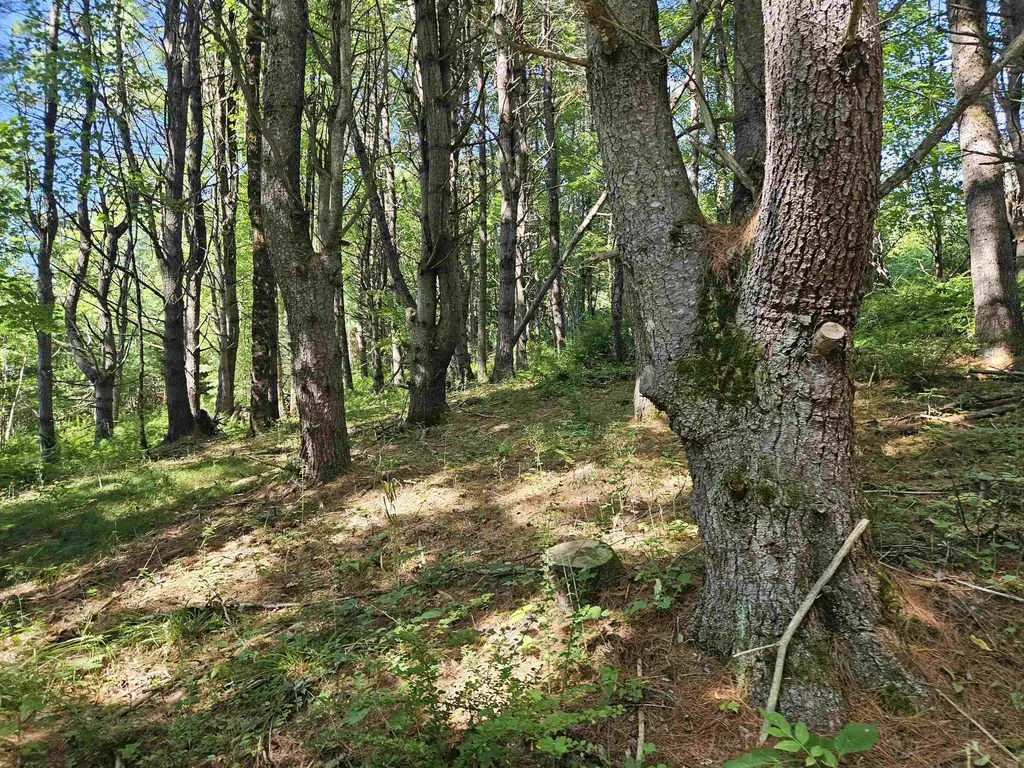 Lot 3.1 Off Parker Road Lisbon NH 03585