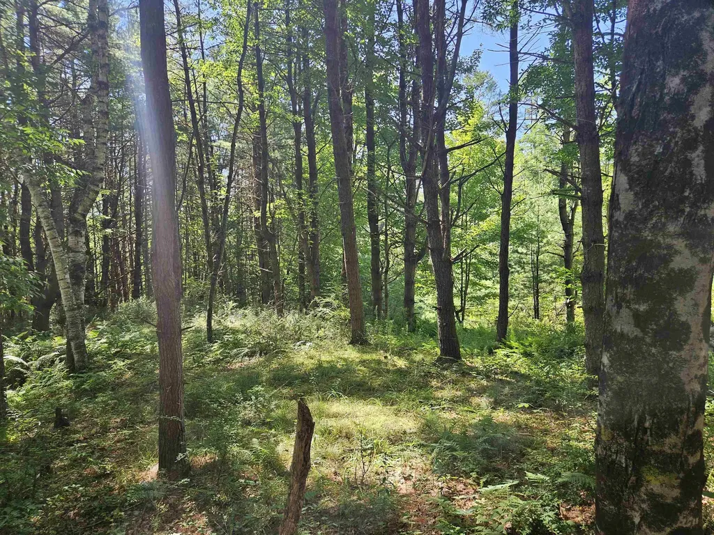 Lot 3.1 Off Parker Road Lisbon NH 03585