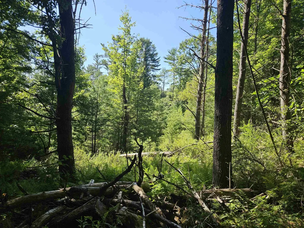 Lot 3.1 Off Parker Road Lisbon NH 03585