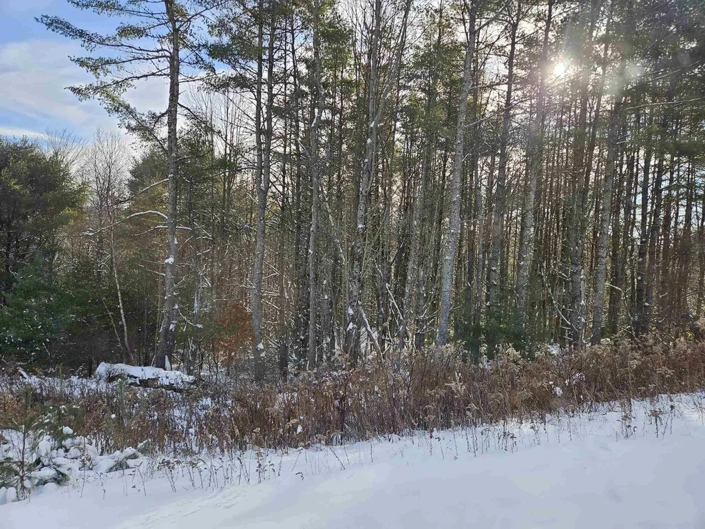 Lot 3.1 Off Parker Road Lisbon NH 03585