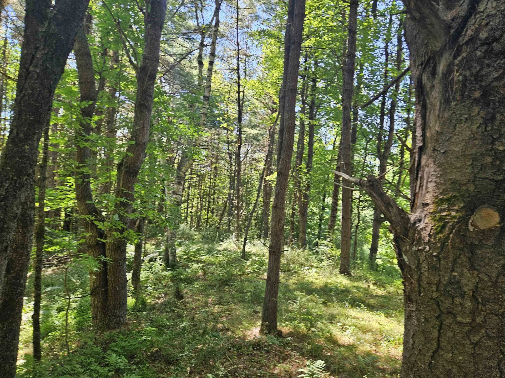 Lot 3.1 Off Parker Road Lisbon NH 03585