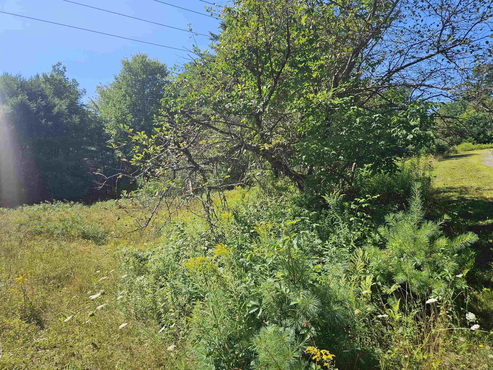 Lot 3.1 Off Parker Road Lisbon NH 03585