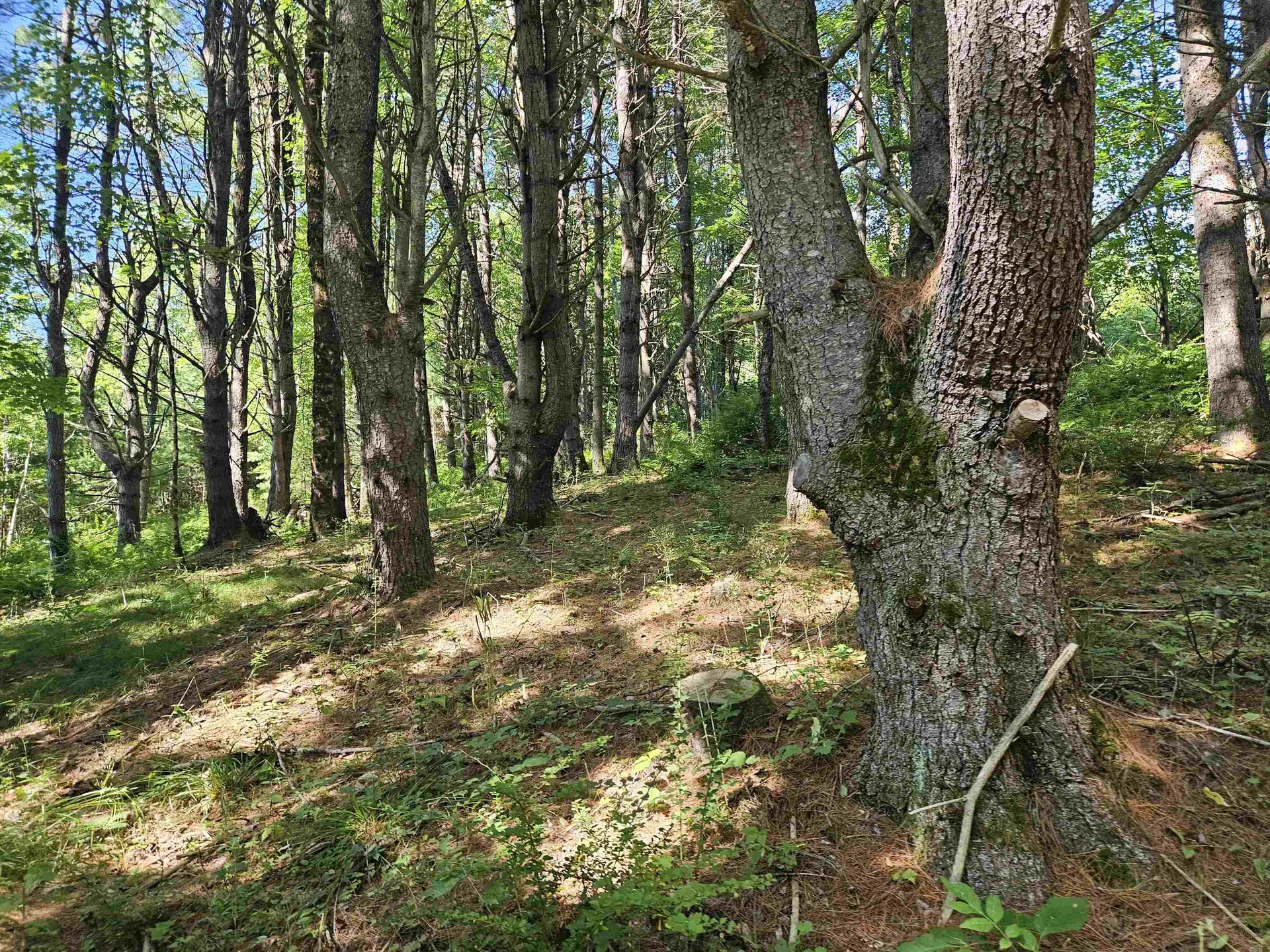 Lot 3.1 Off Parker Road Lisbon NH 03585