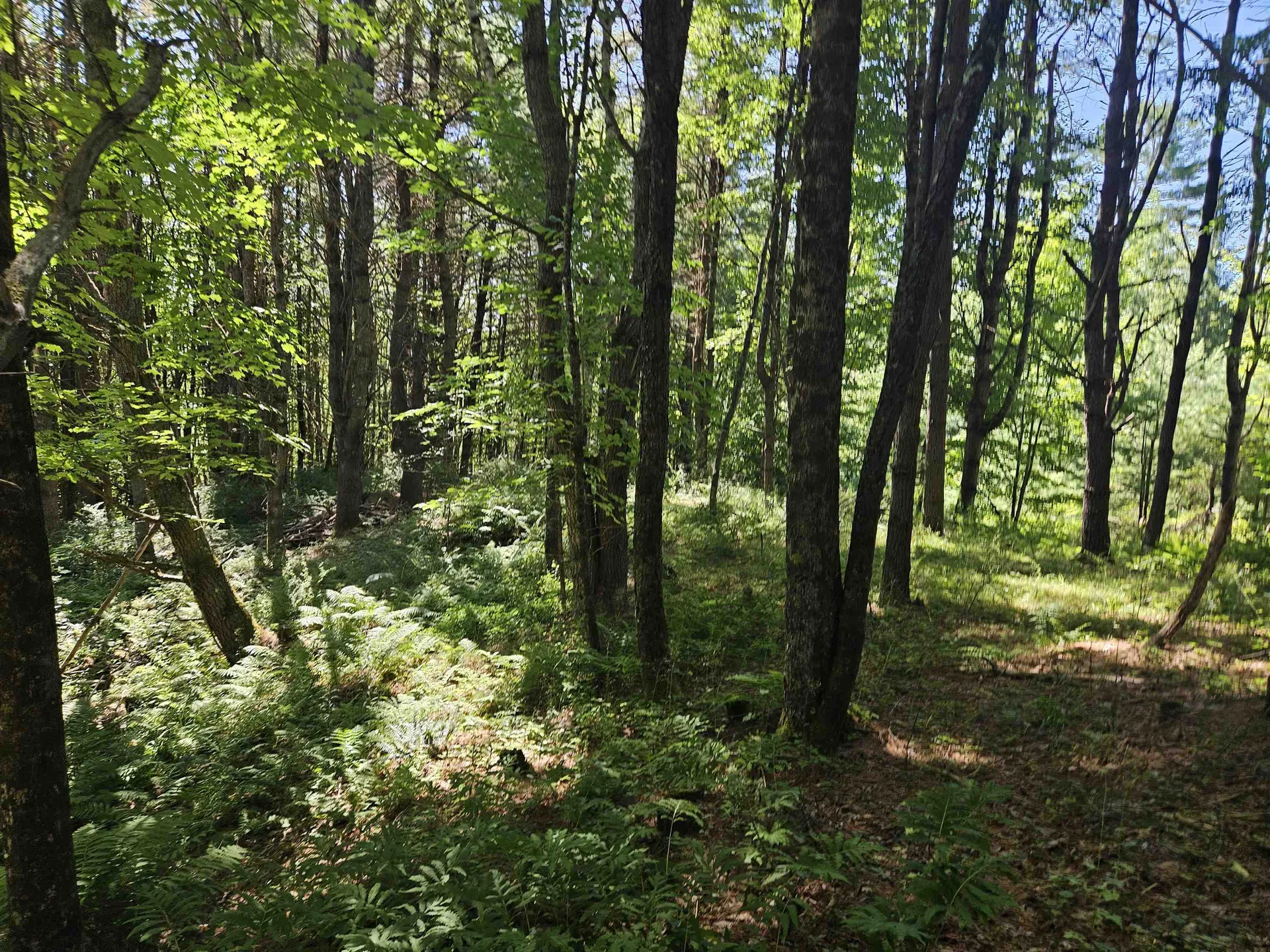 Lot 3.1 Off Parker Road Lisbon NH 03585