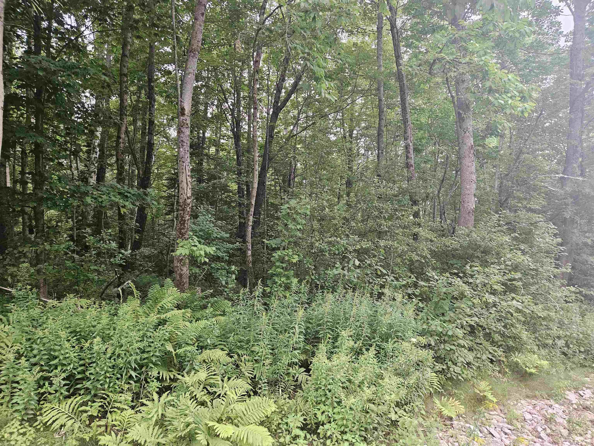 Lot 3.1 Off Parker Road Lisbon NH 03585