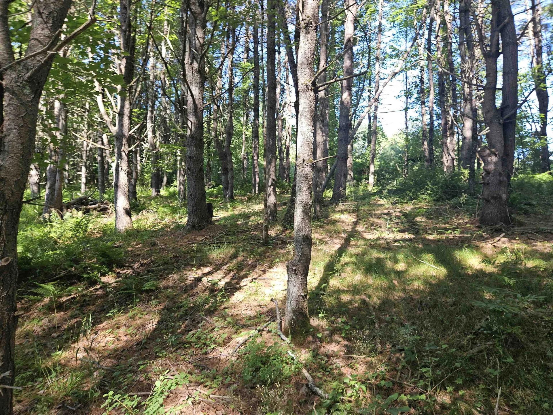 Lot 3.1 Off Parker Road Lisbon NH 03585