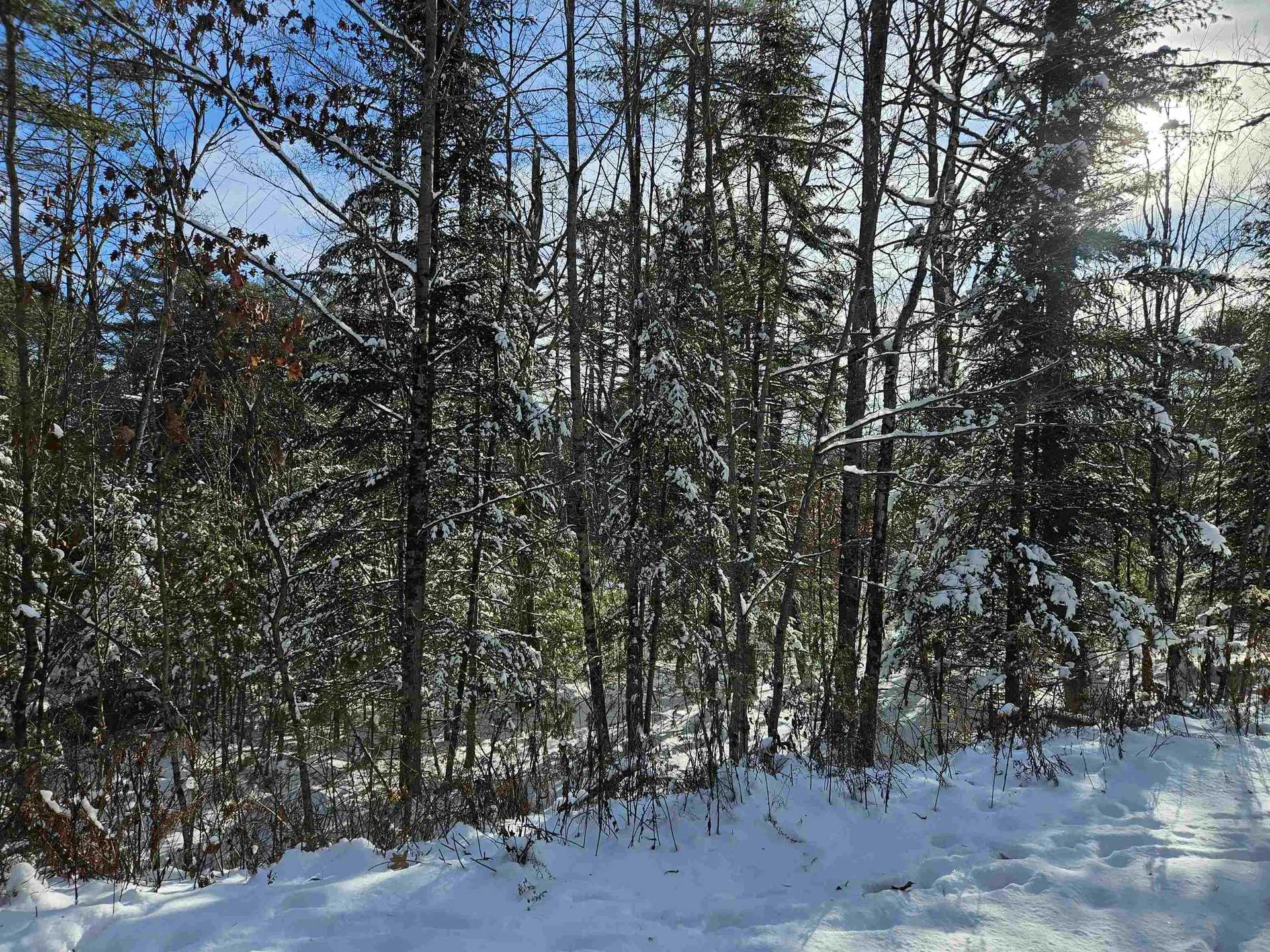 Lot 3.1 Off Parker Road Lisbon NH 03585