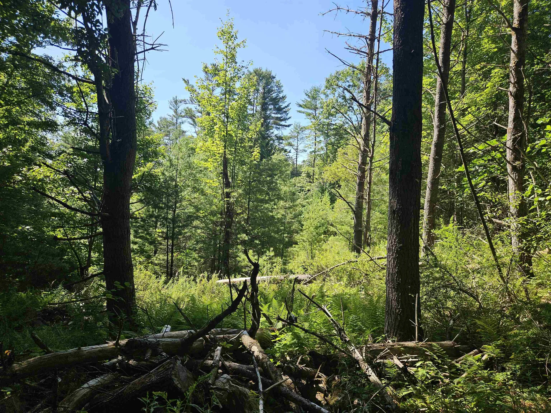 Lot 3.1 Off Parker Road Lisbon NH 03585