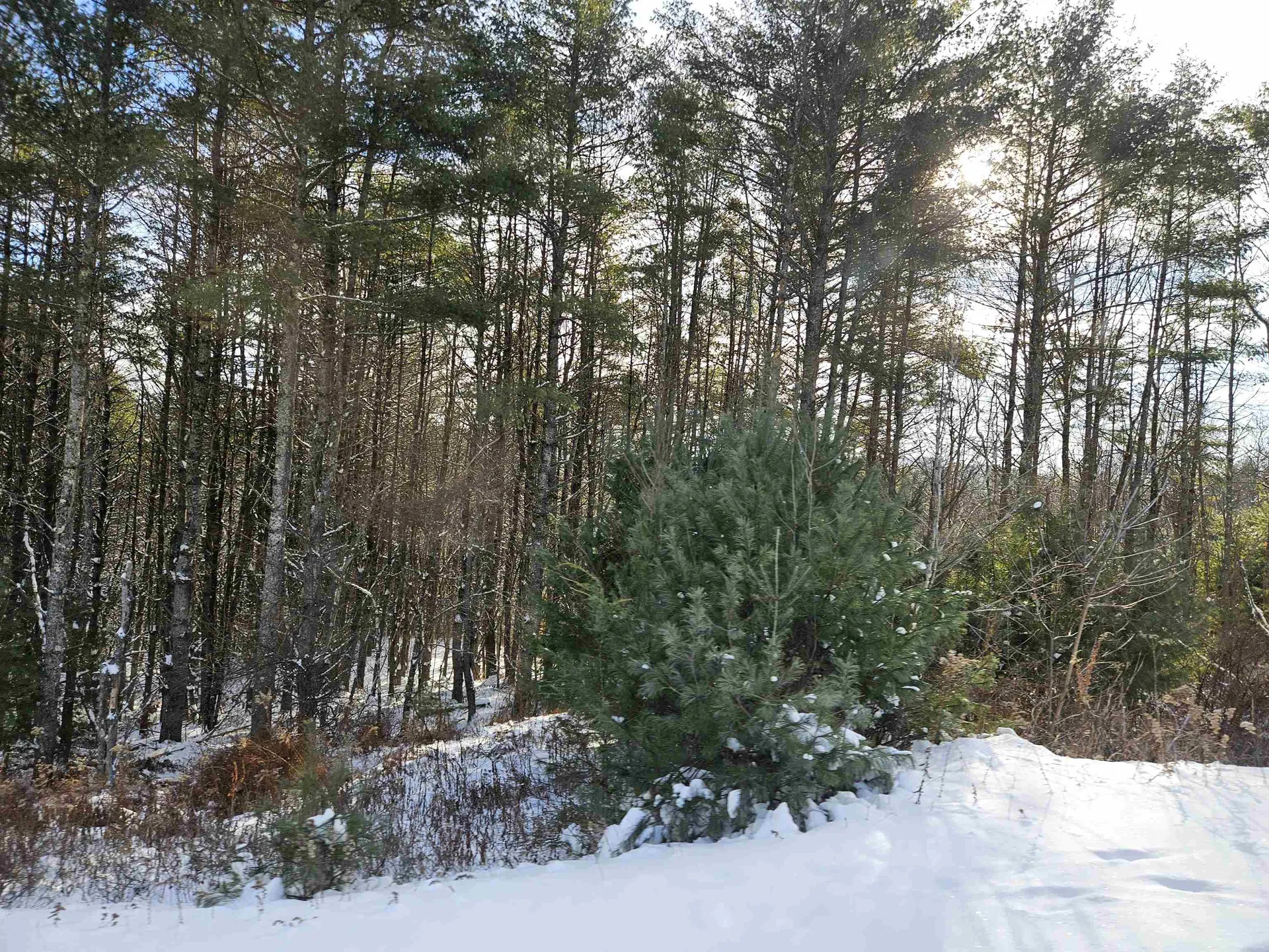 Lot 3.1 Off Parker Road Lisbon NH 03585