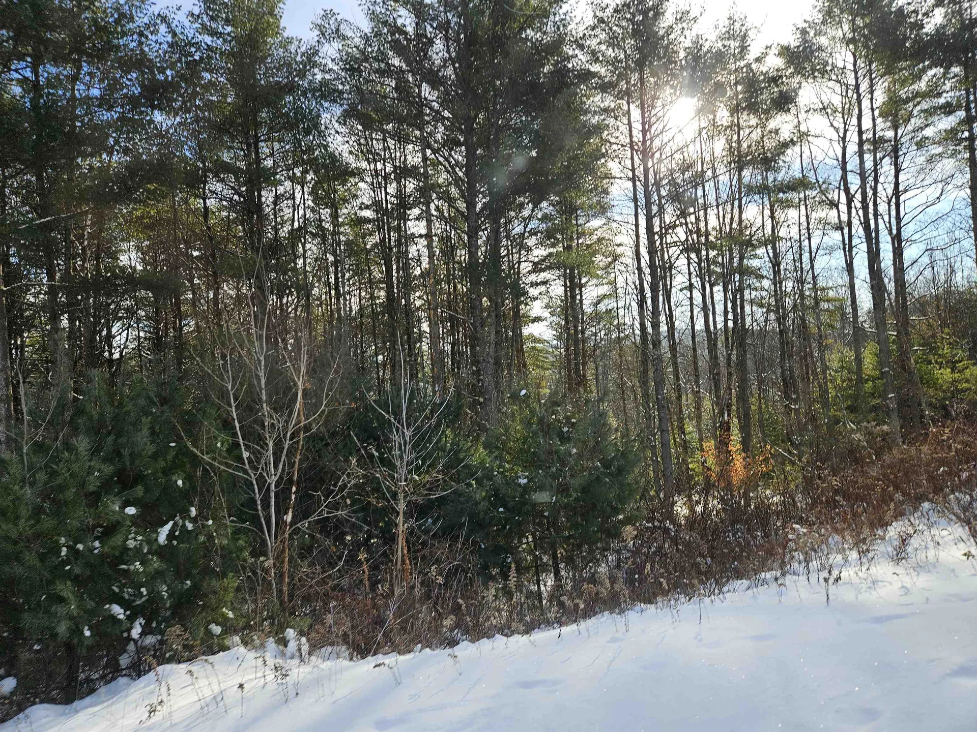 Lot 3.1 Off Parker Road Lisbon NH 03585