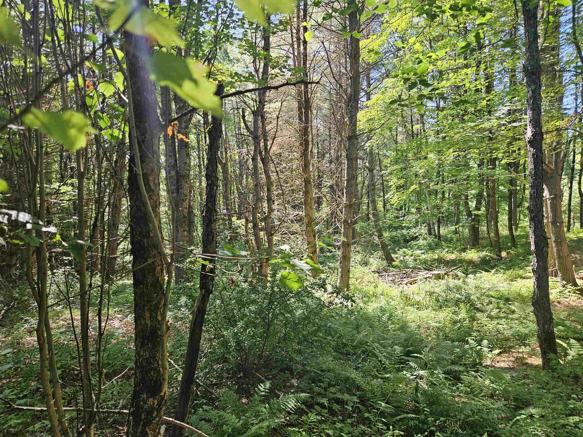 Lot 3.1 Off Parker Road Lisbon NH 03585