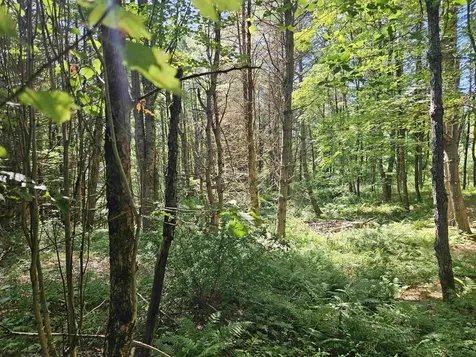 Lot 3.1 Off Parker Road Lisbon NH 03585