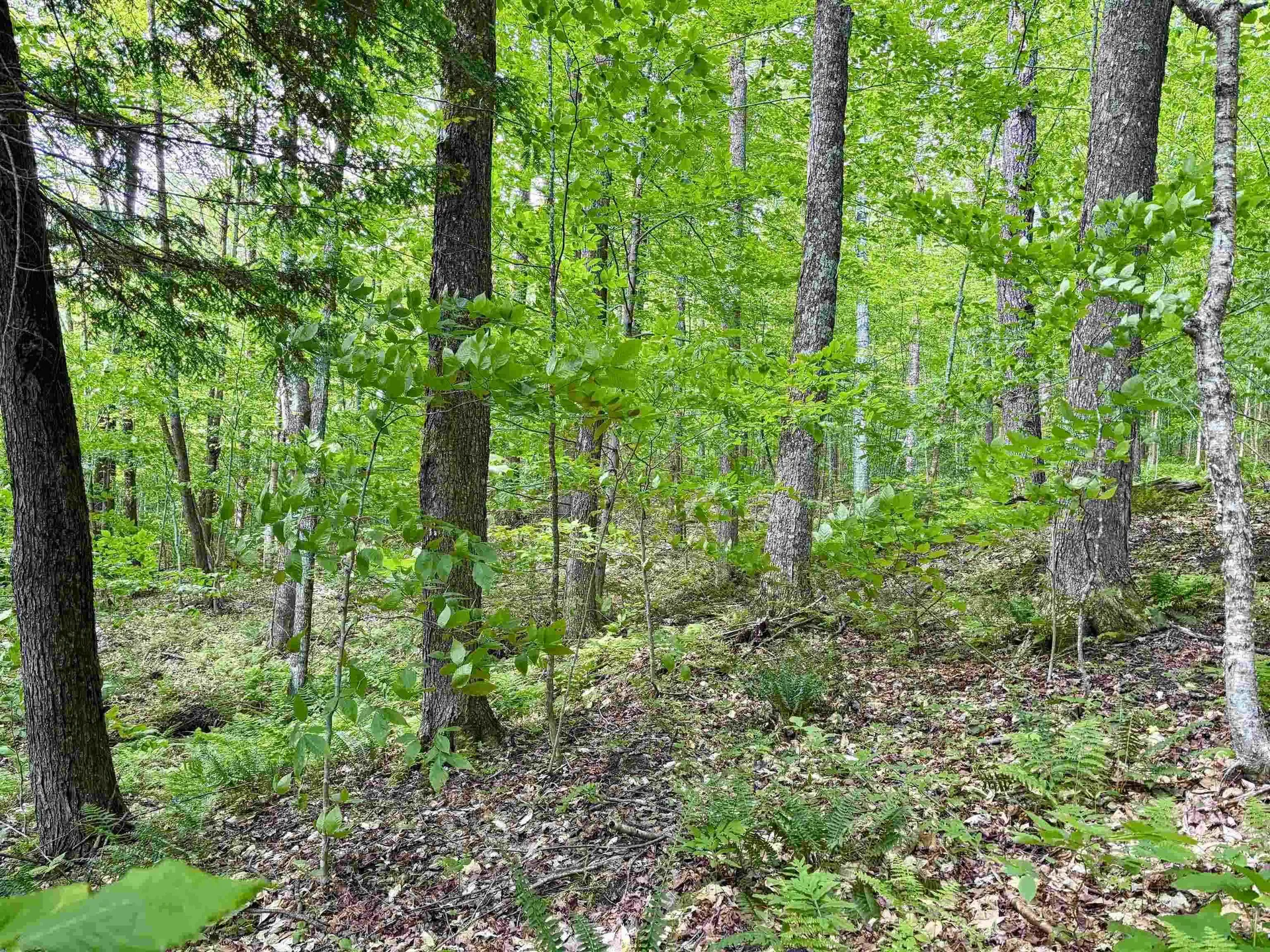 0 North Road Eden VT 05653