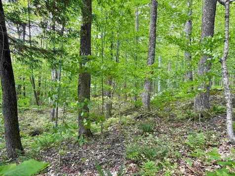 0 North Road Eden VT 05653