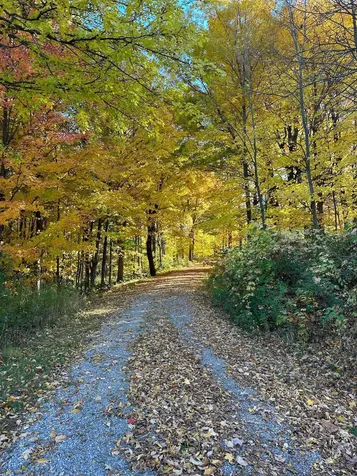 860 West Street Cornwall VT 05753