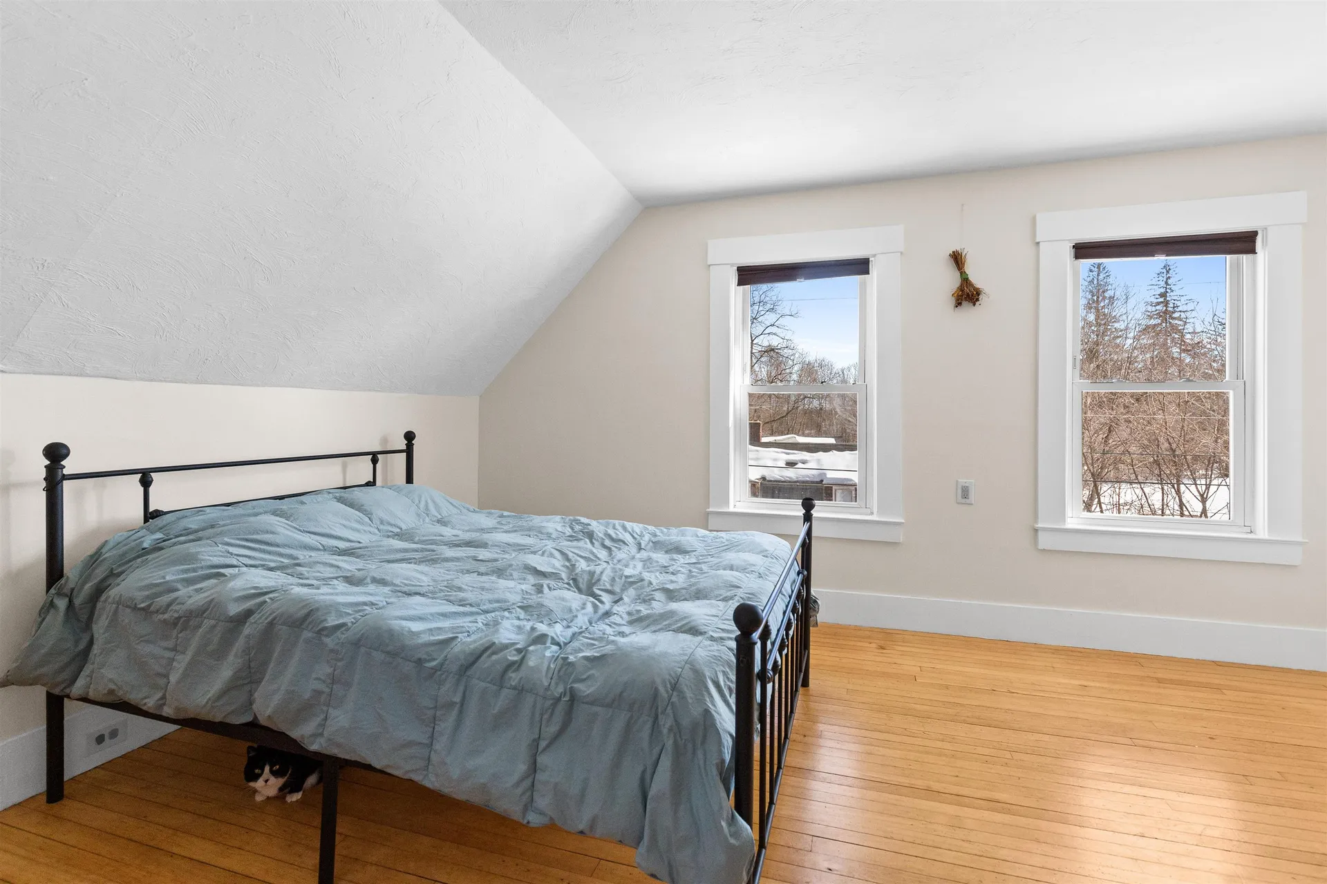 9 Kelsea Avenue Center Harbor NH 03226