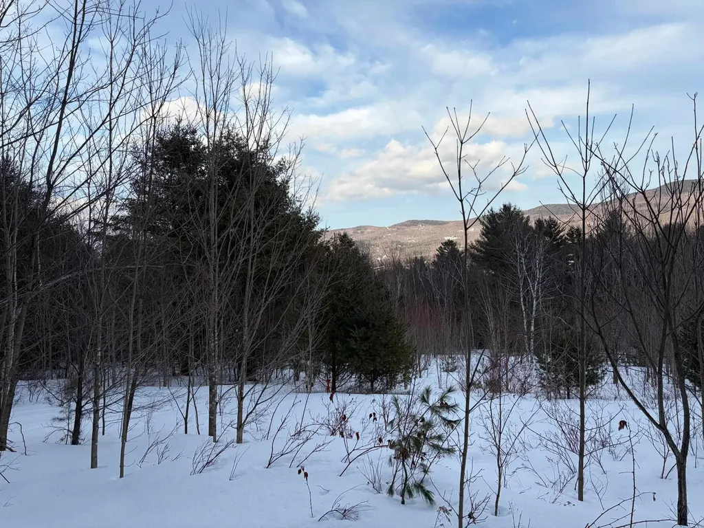 00 Fuller Hill Road Warren VT 05674