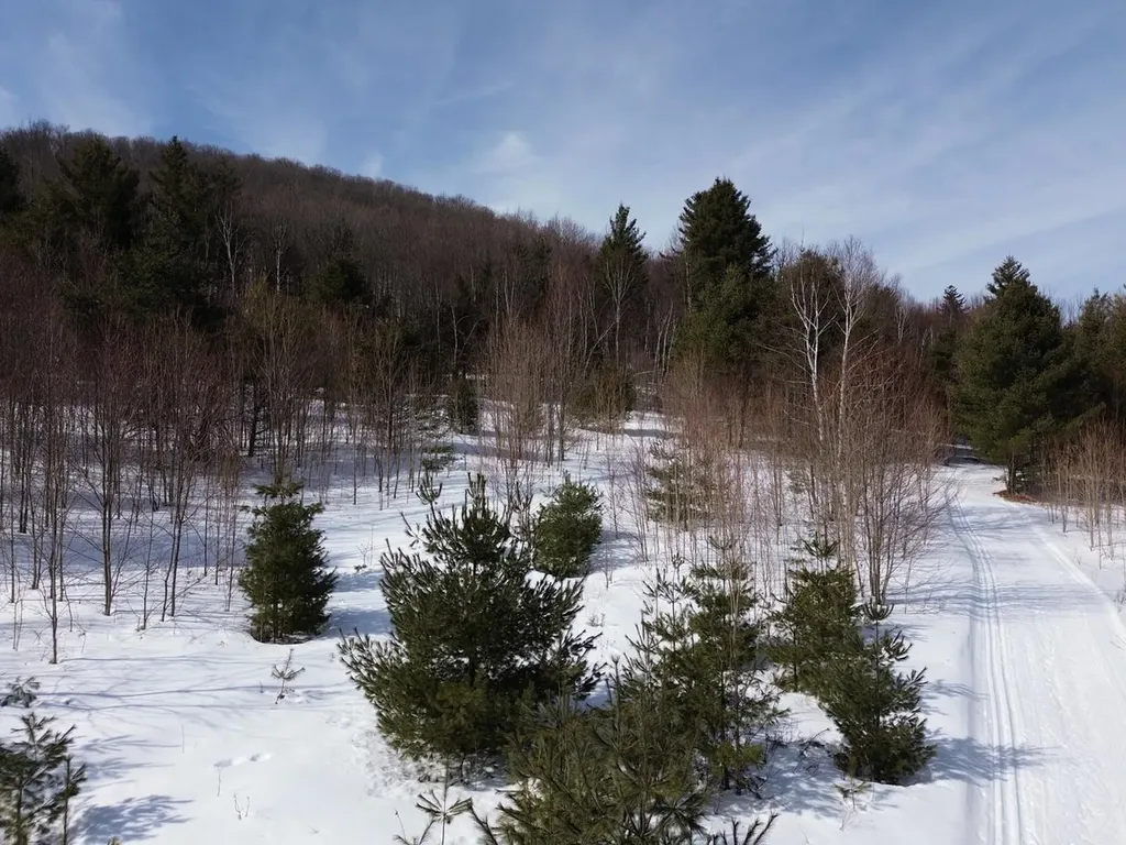 00 Fuller Hill Road Warren VT 05674