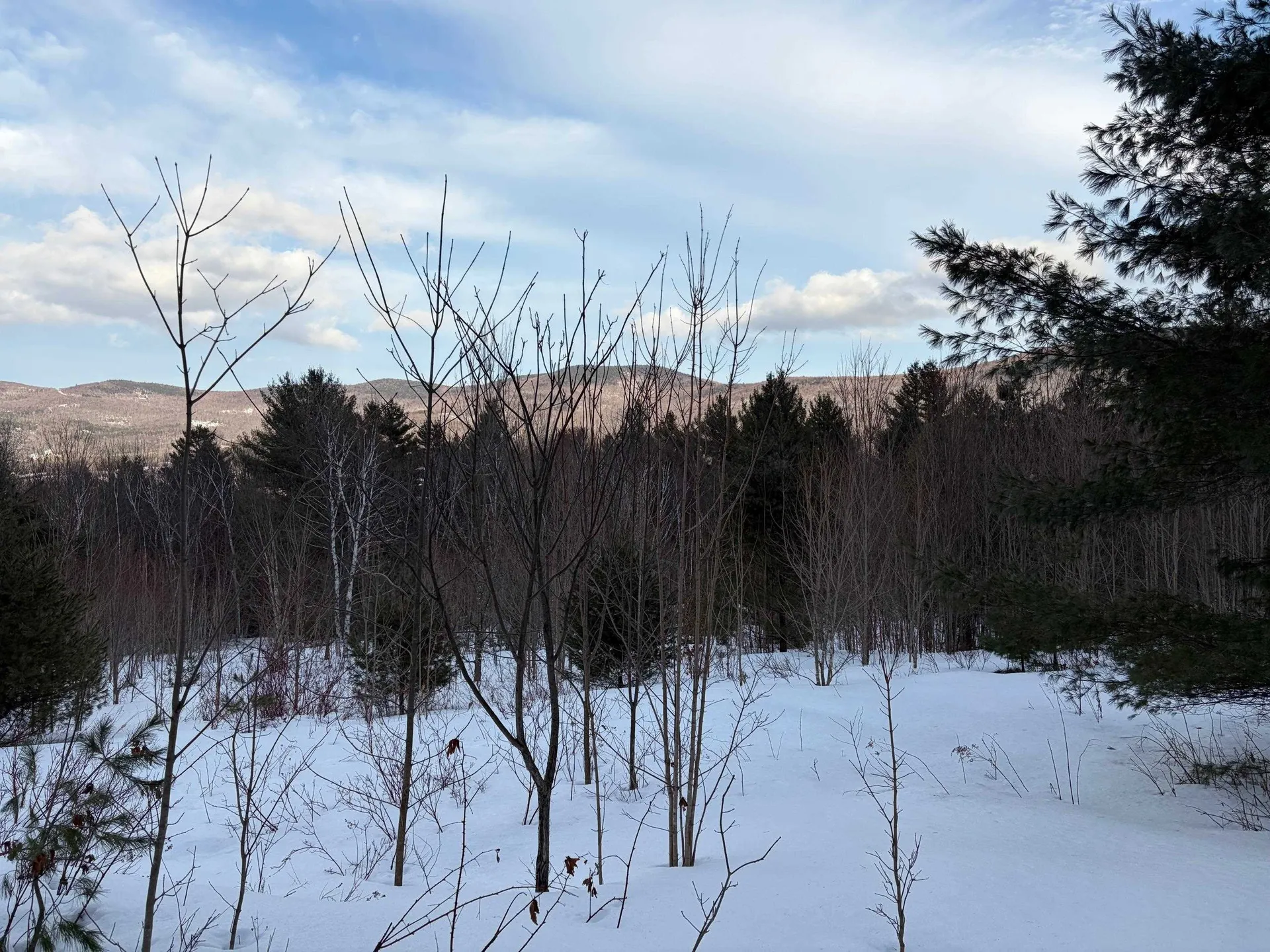 00 Fuller Hill Road Warren VT 05674
