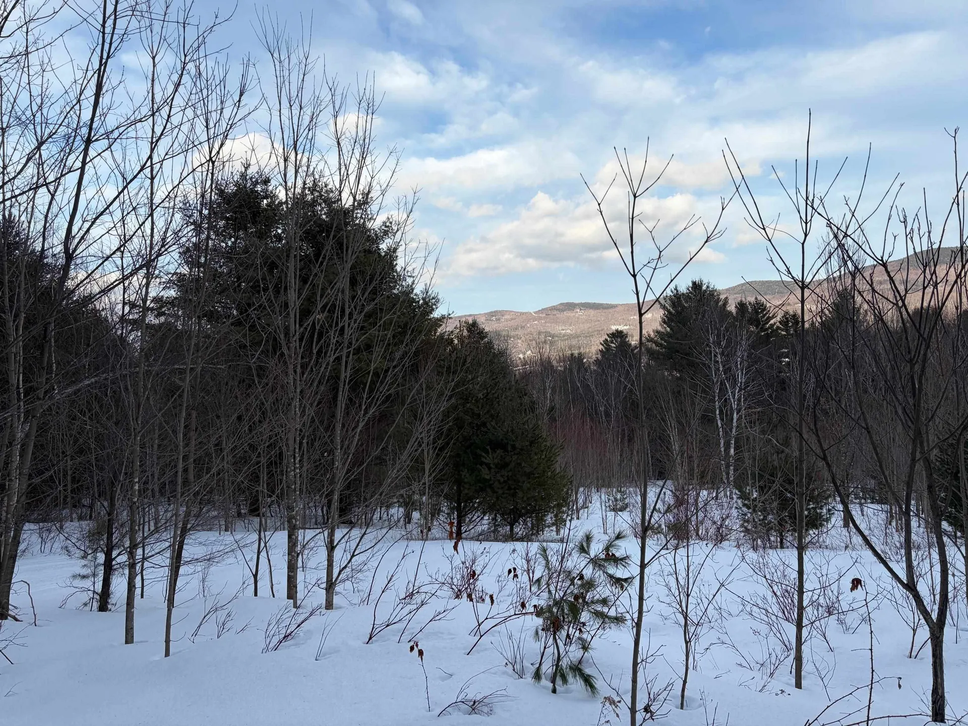 00 Fuller Hill Road Warren VT 05674