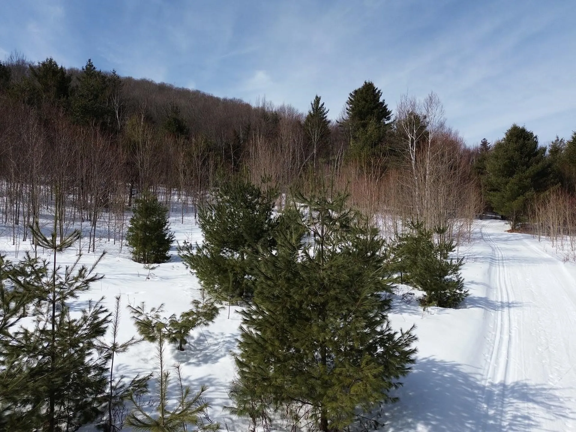 00 Fuller Hill Road Warren VT 05674