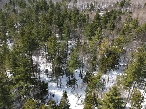 00 Fuller Hill Road Warren VT 05674