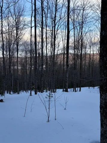 00 Fuller Hill Road Warren VT 05674