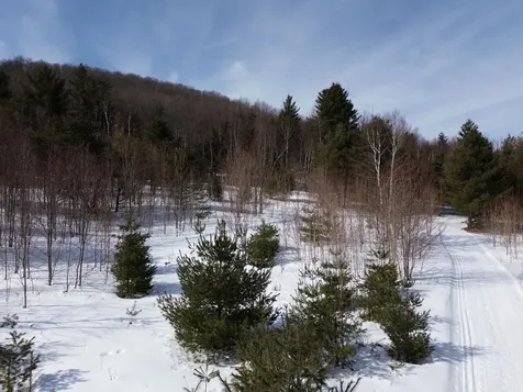 00 Fuller Hill Road Warren VT 05674