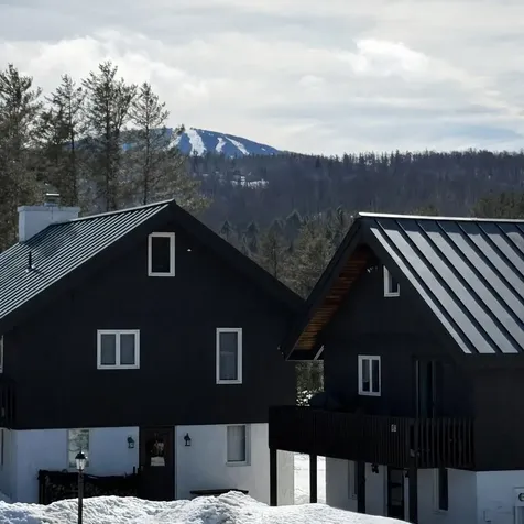 10 Byington Lane Winhall VT 05340