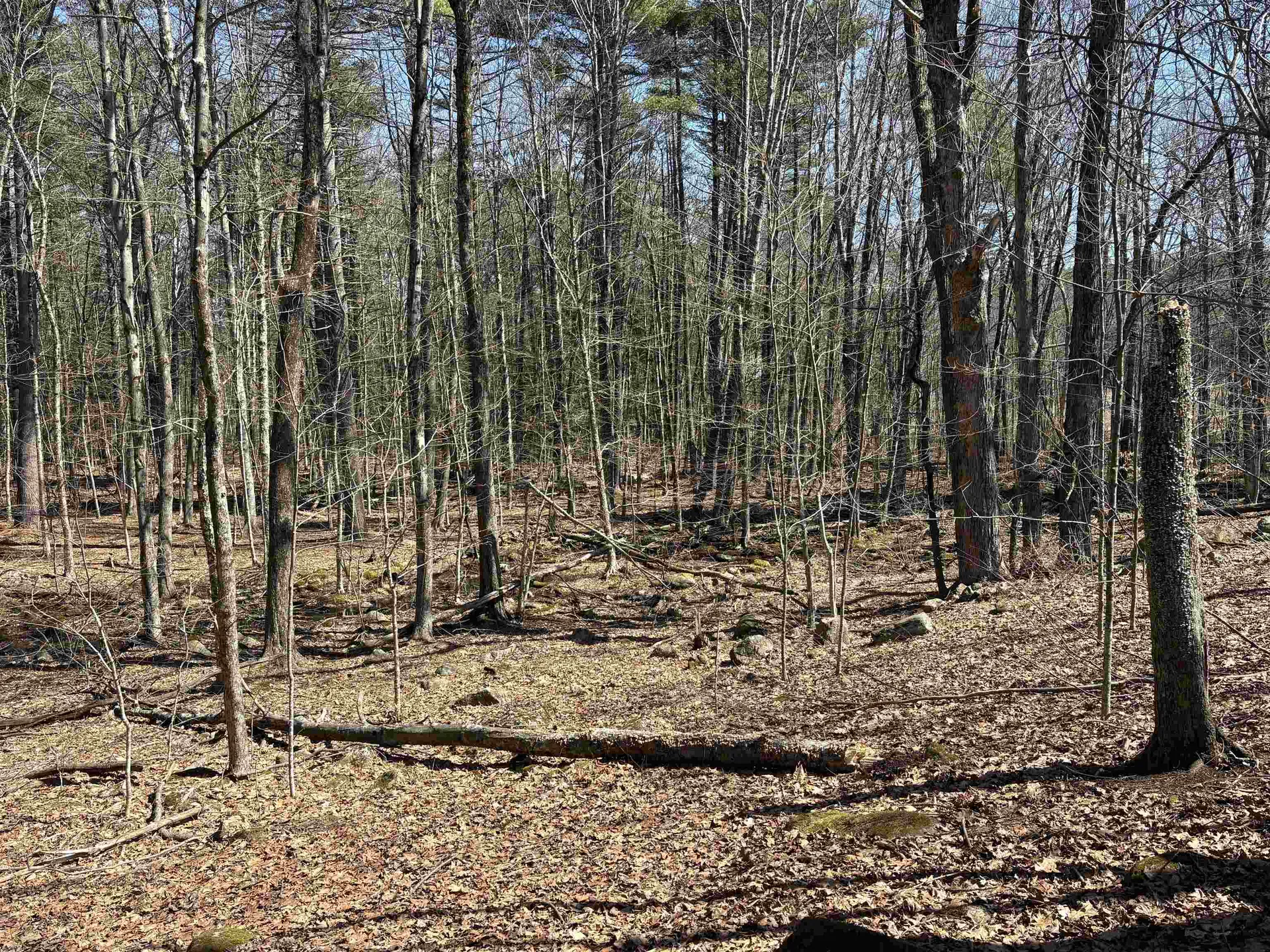 79-1 Currier Road Candia NH 03034