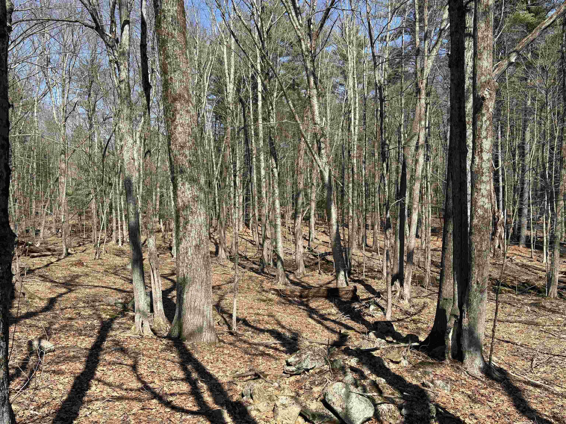 79-1 Currier Road Candia NH 03034