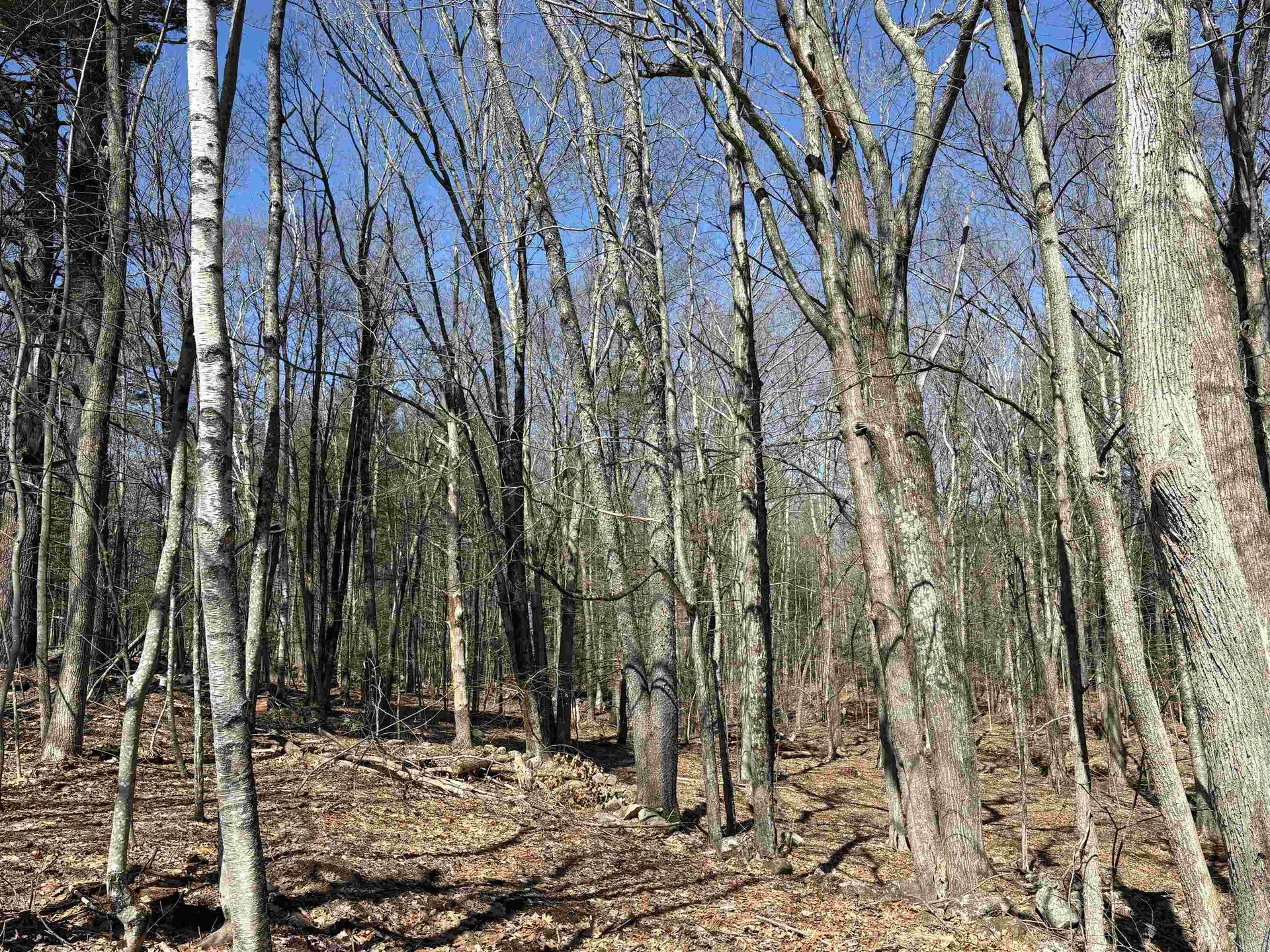 79-1 Currier Road Candia NH 03034