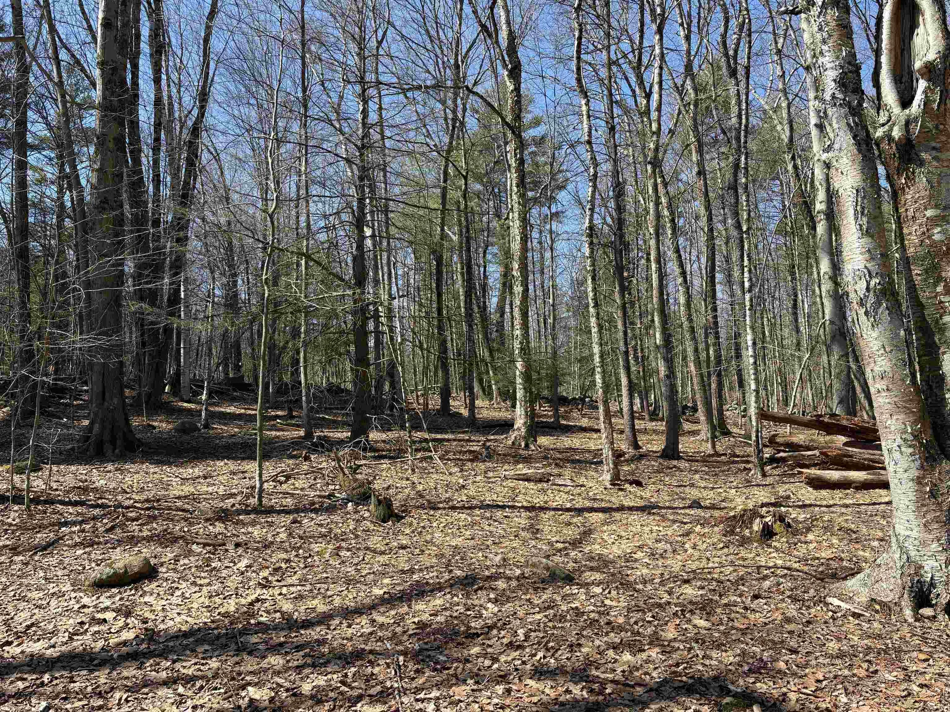 79-1 Currier Road Candia NH 03034