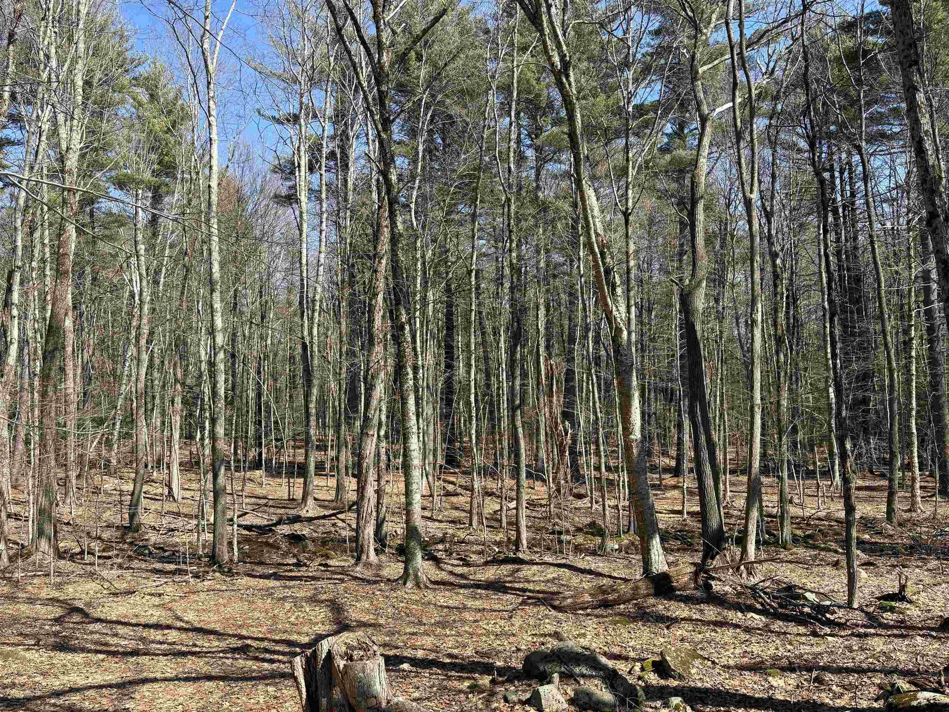 79-1 Currier Road Candia NH 03034