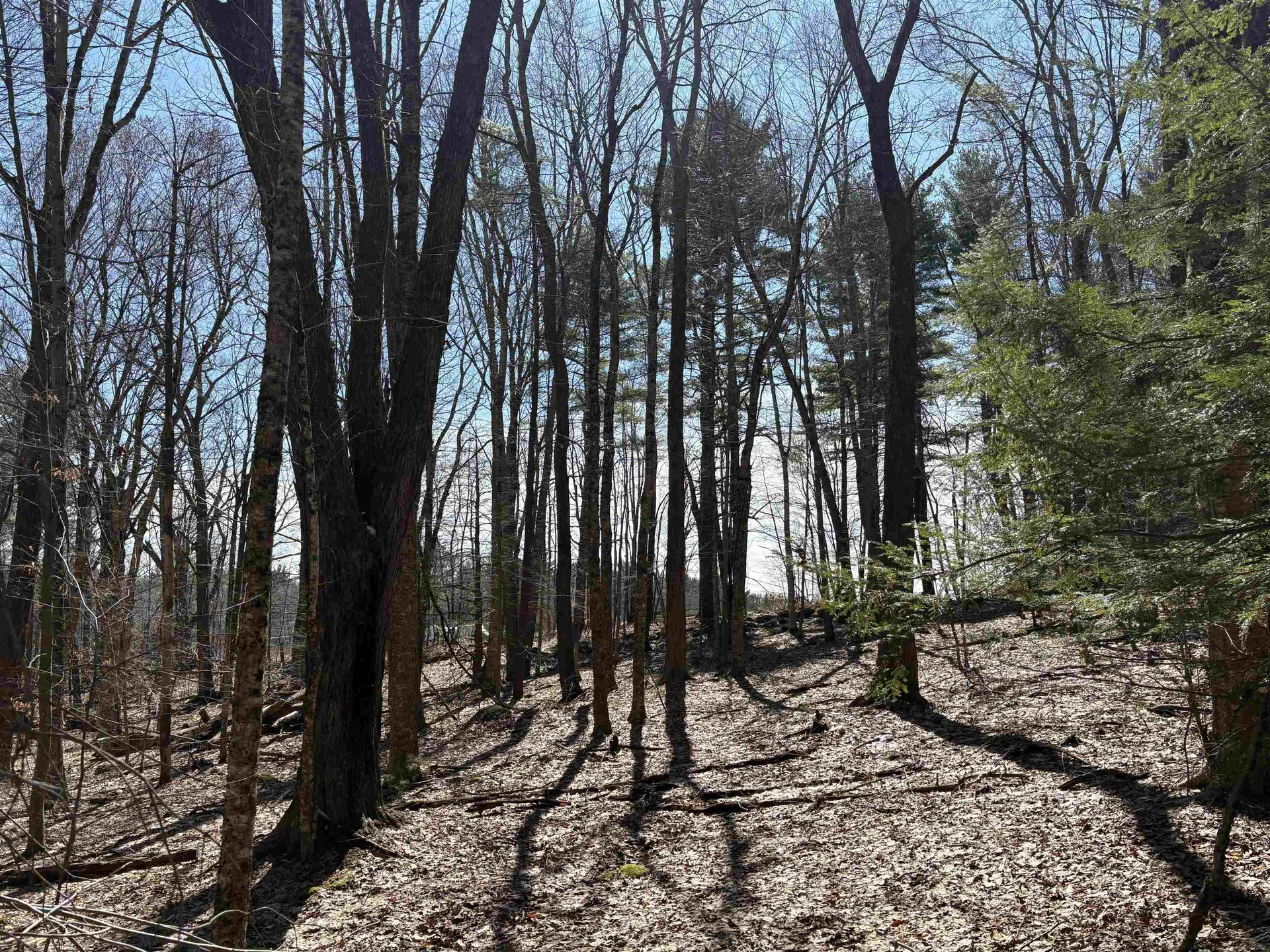 79-1 Currier Road Candia NH 03034