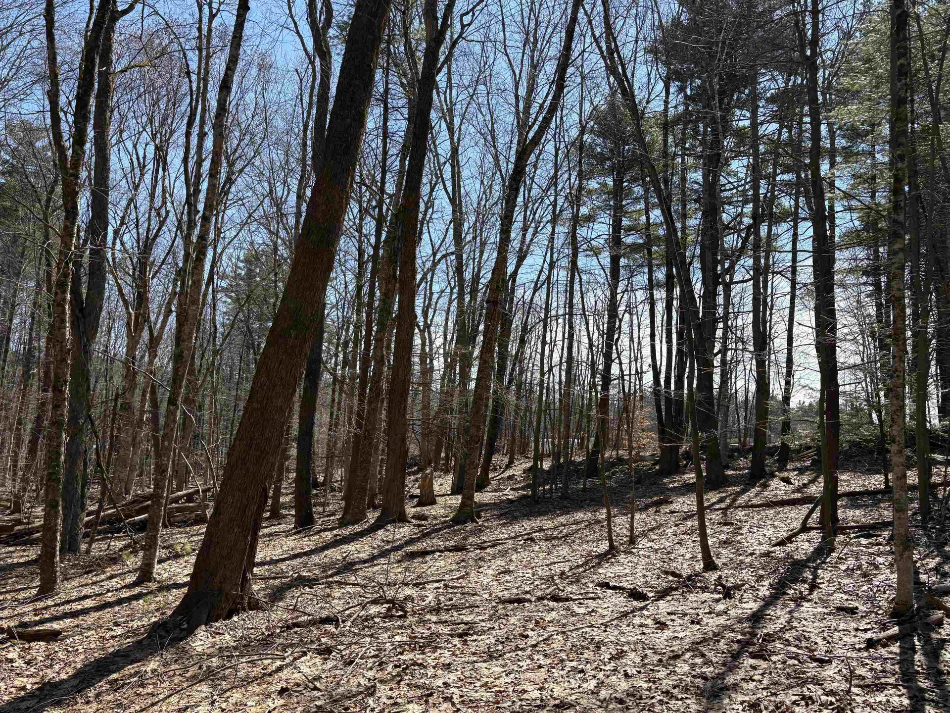 79-1 Currier Road Candia NH 03034