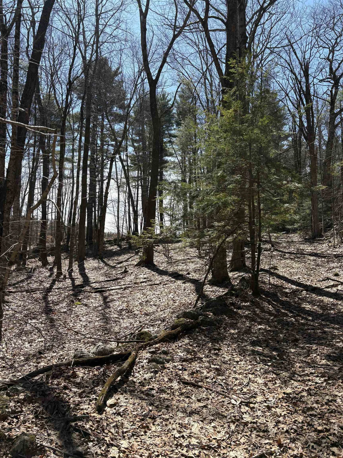 79-1 Currier Road Candia NH 03034