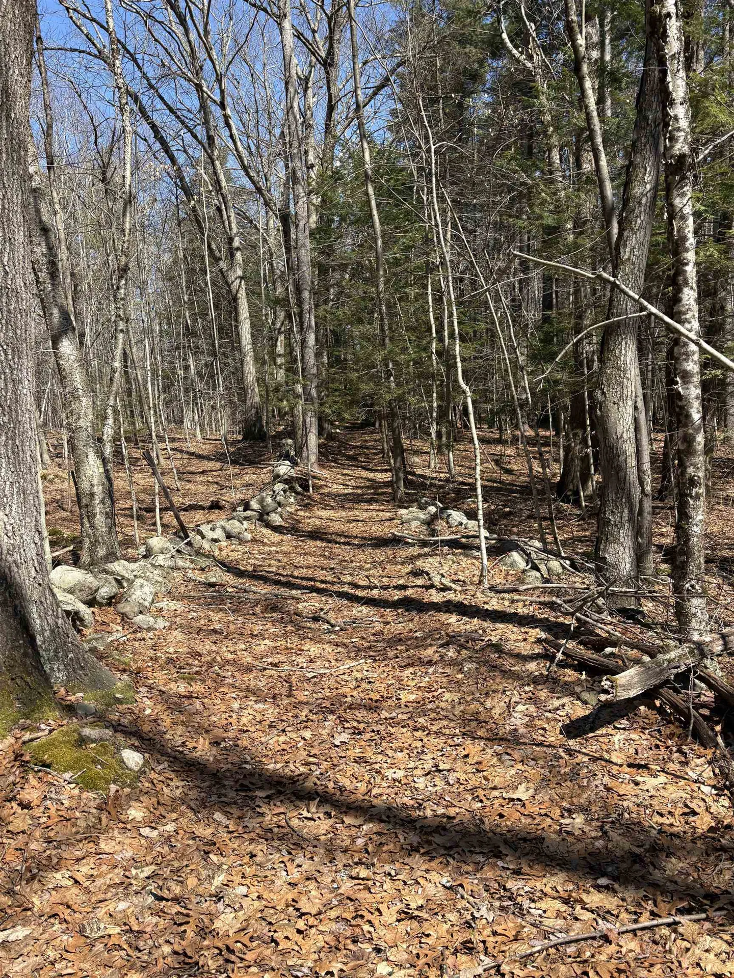 79-1 Currier Road Candia NH 03034