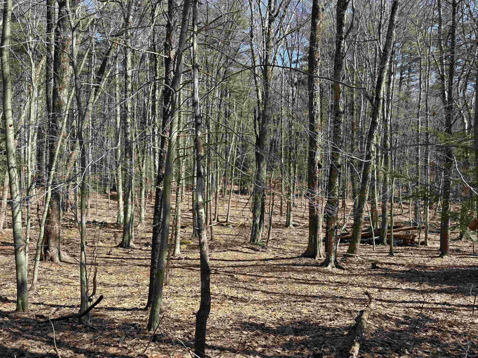 79-1 Currier Road Candia NH 03034