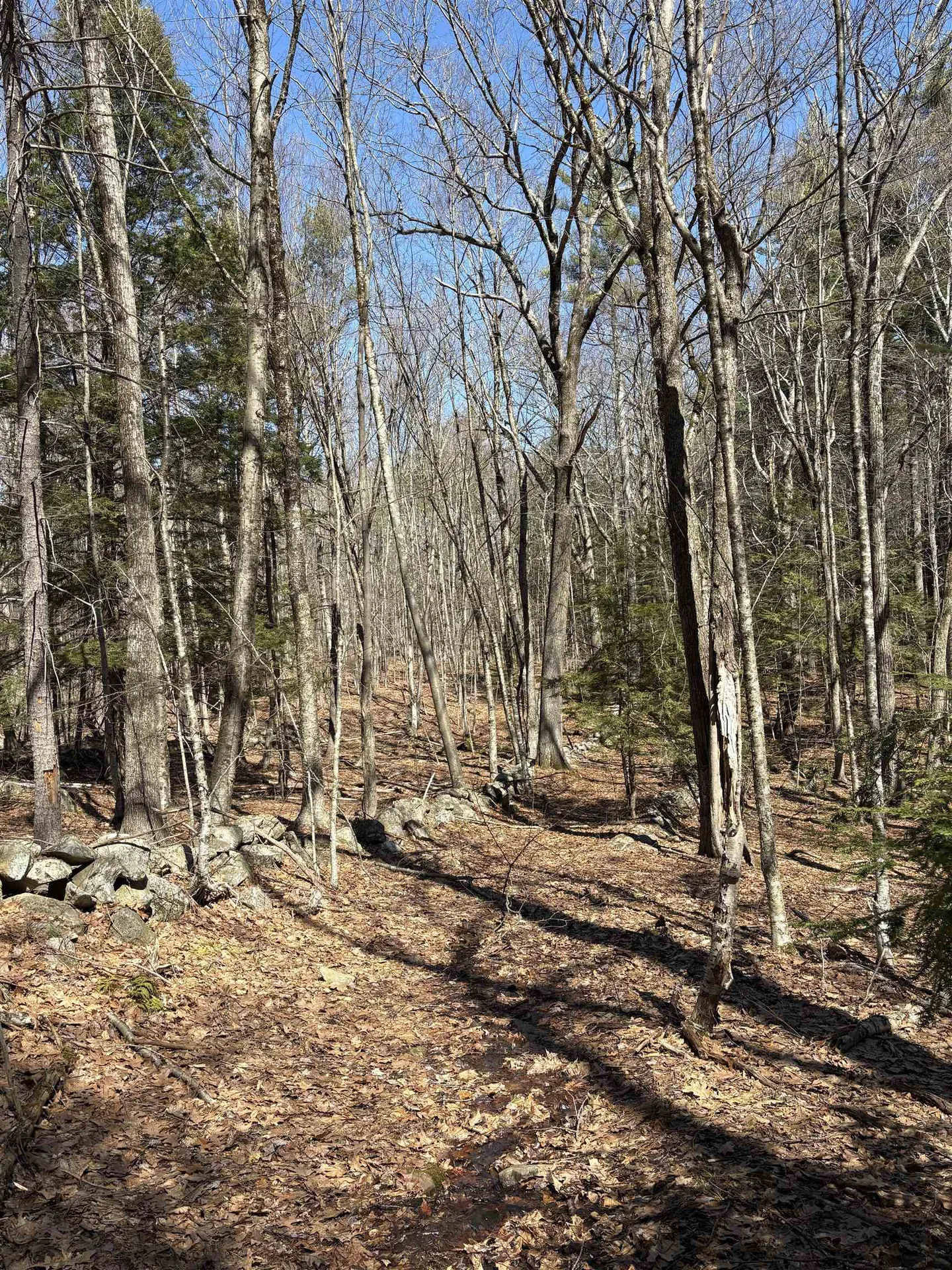 79-1 Currier Road Candia NH 03034