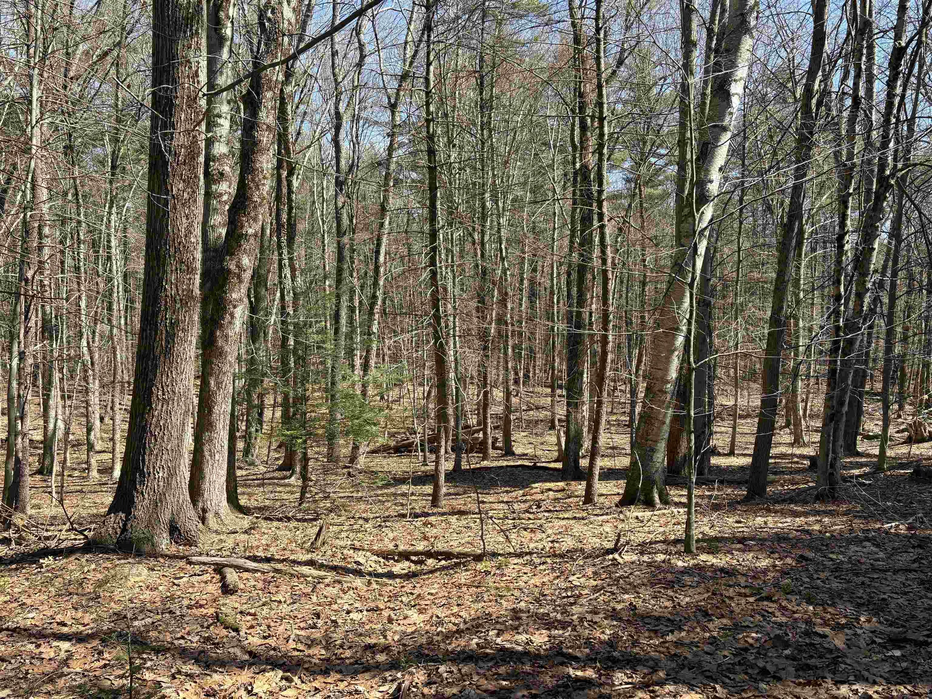 79-1 Currier Road Candia NH 03034