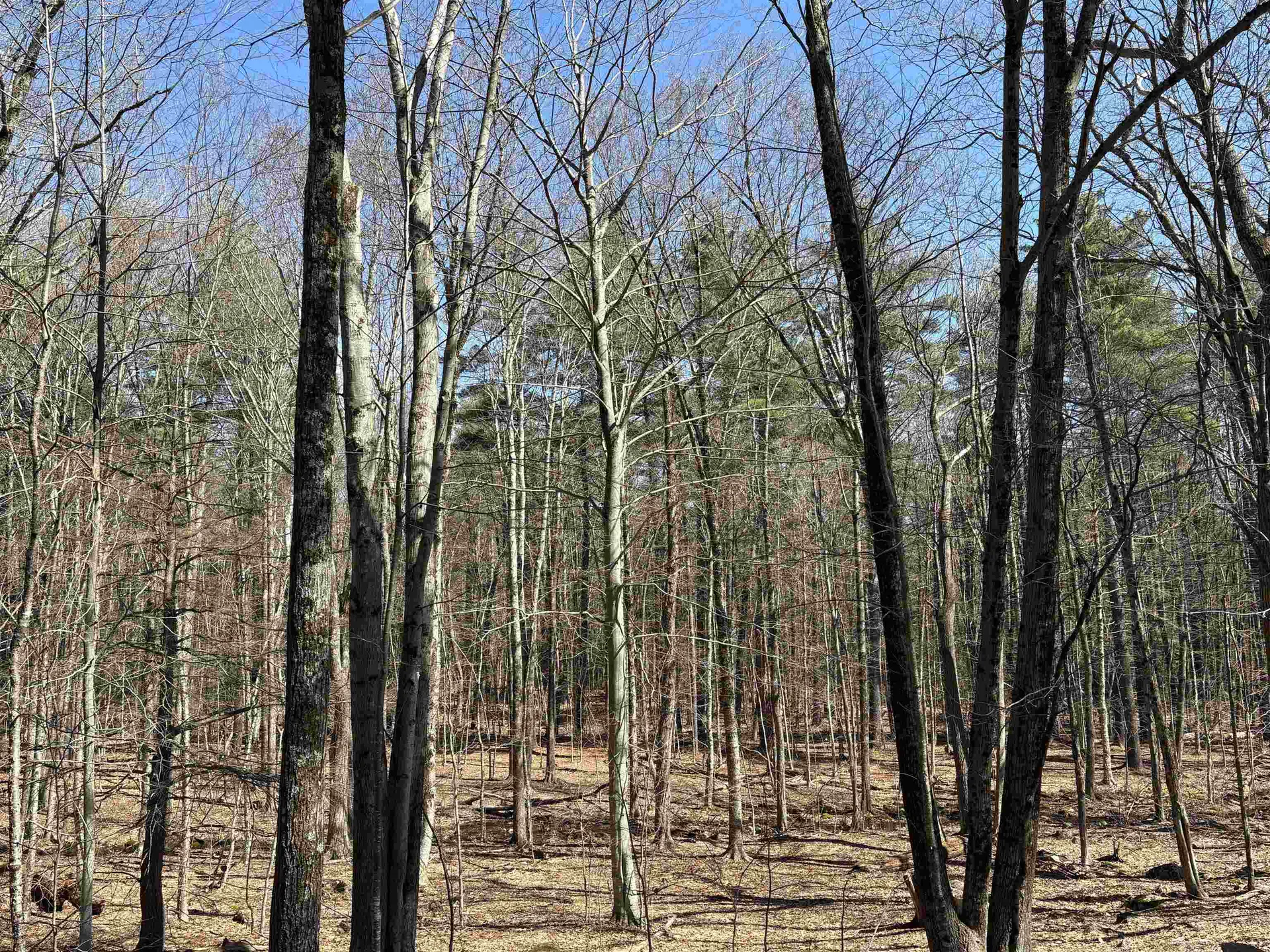 79-1 Currier Road Candia NH 03034