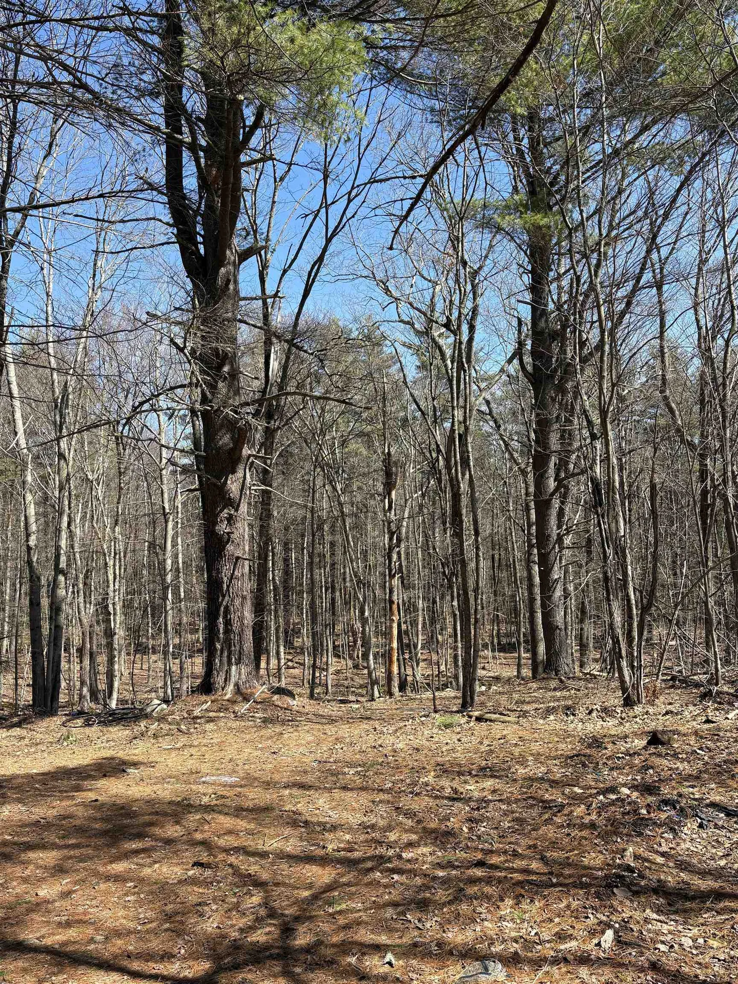 79-1 Currier Road Candia NH 03034