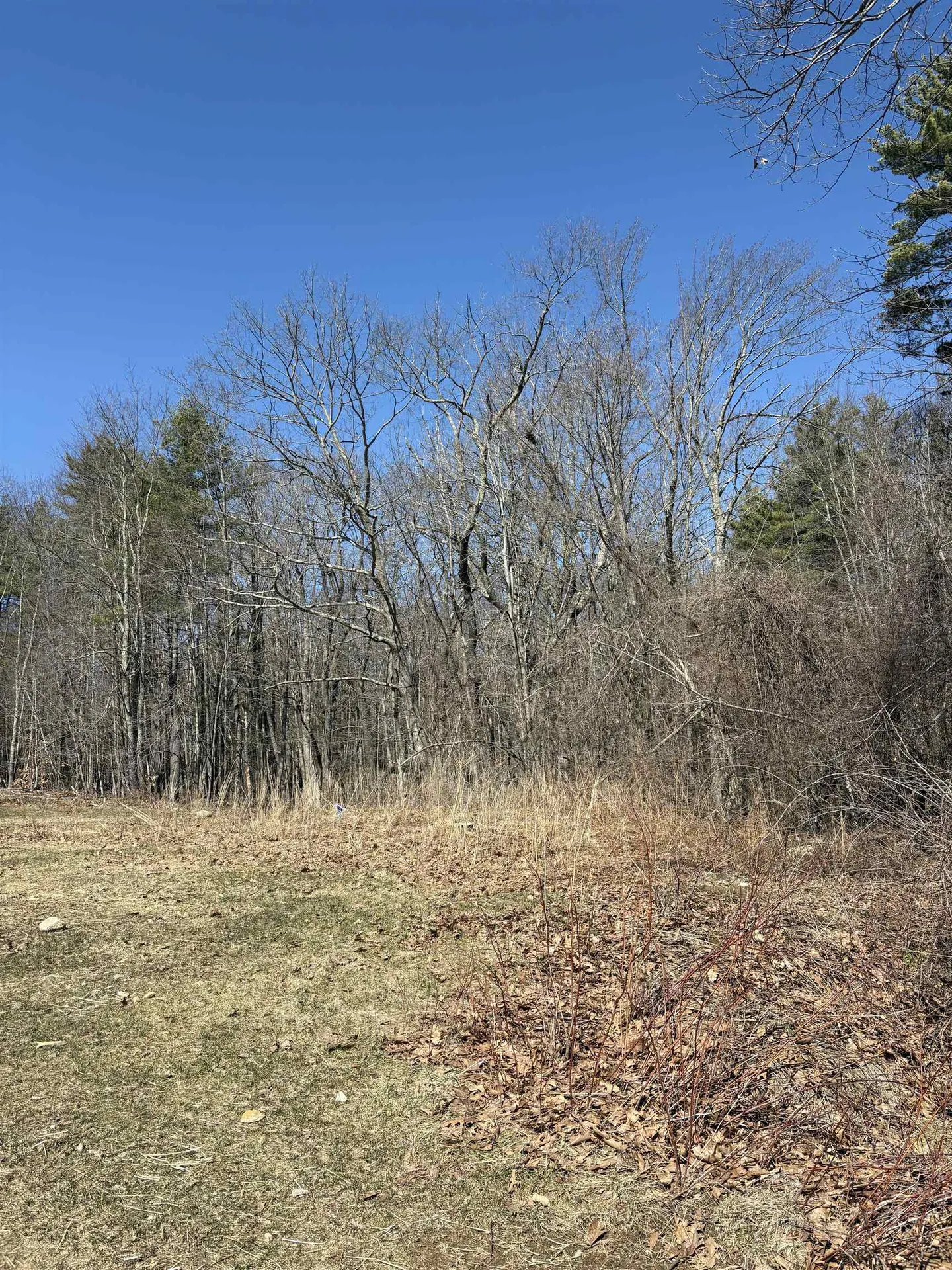 79-1 Currier Road Candia NH 03034